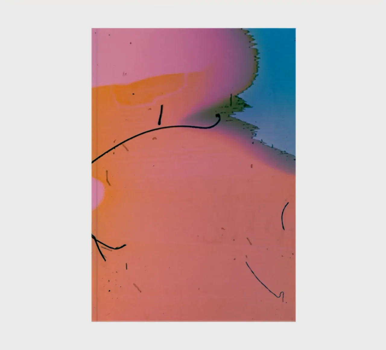 gradient vibrant carnet de notes de prindy