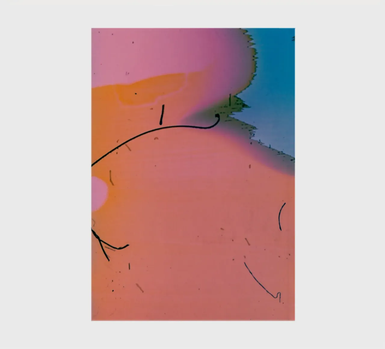 gradient vibrant carnet de notes de prindy