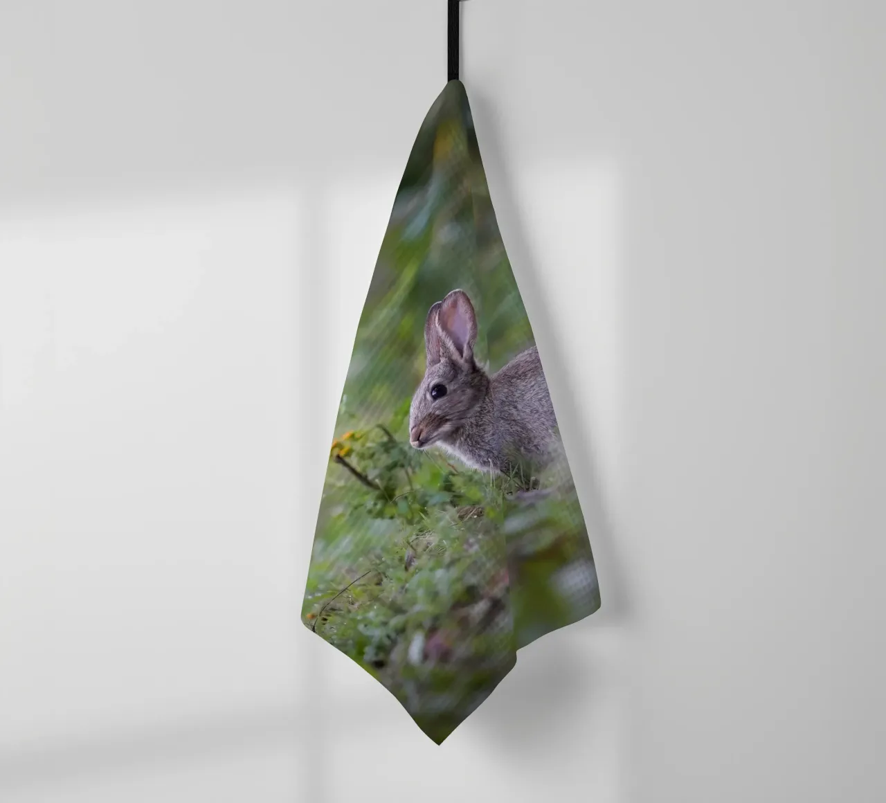 Lapin dans l'Amsterdamse Bos torchon de Tom's Wildlife