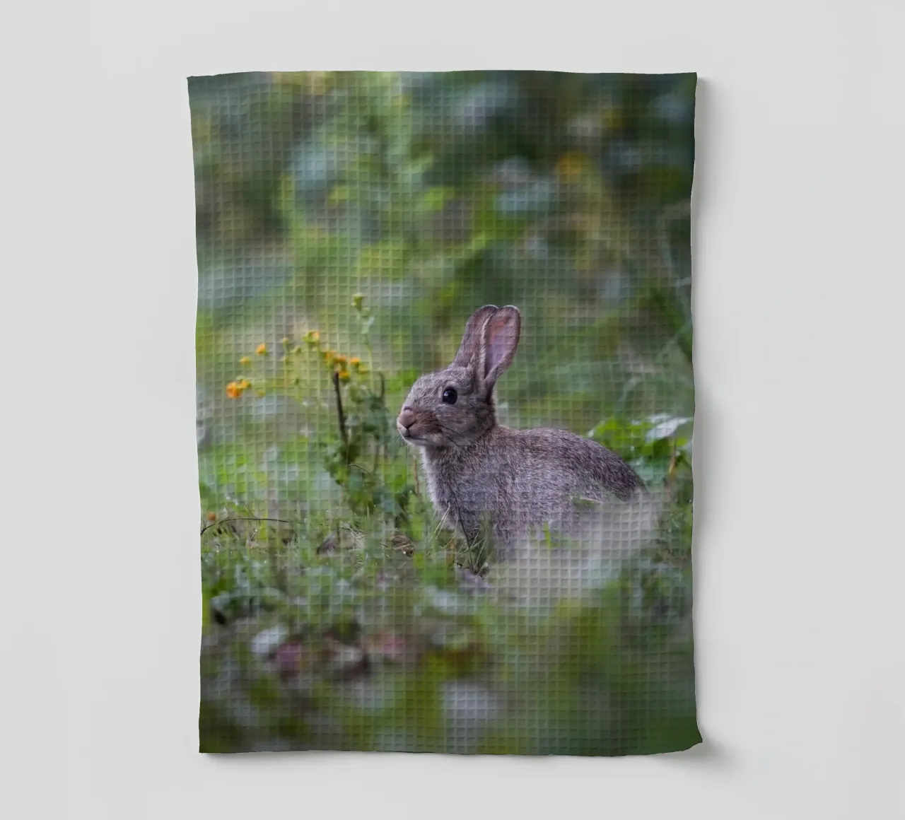 Lapin dans l'Amsterdamse Bos torchon de Tom's Wildlife