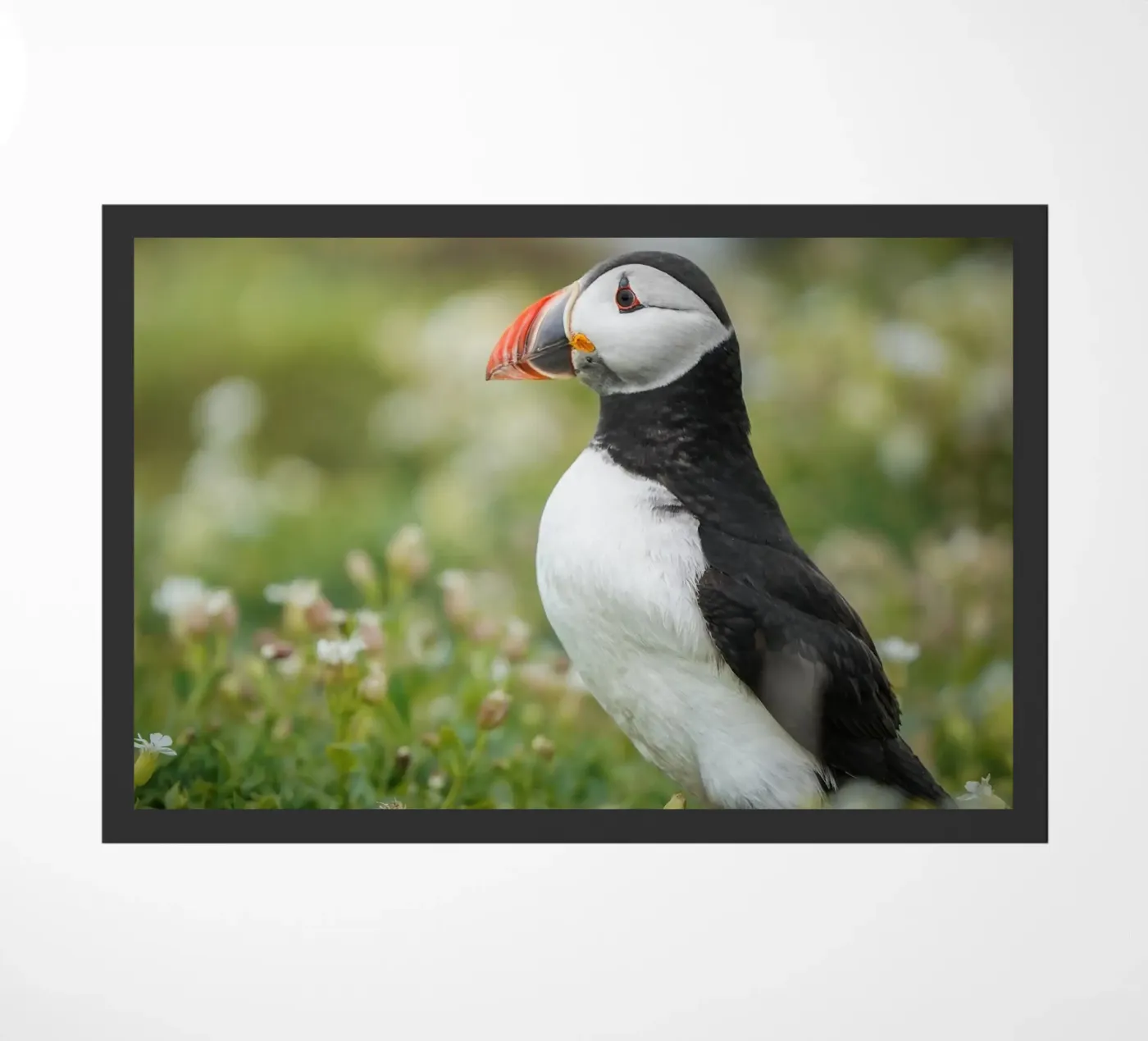 Puffin Fußmatte von Tom's Wildlife