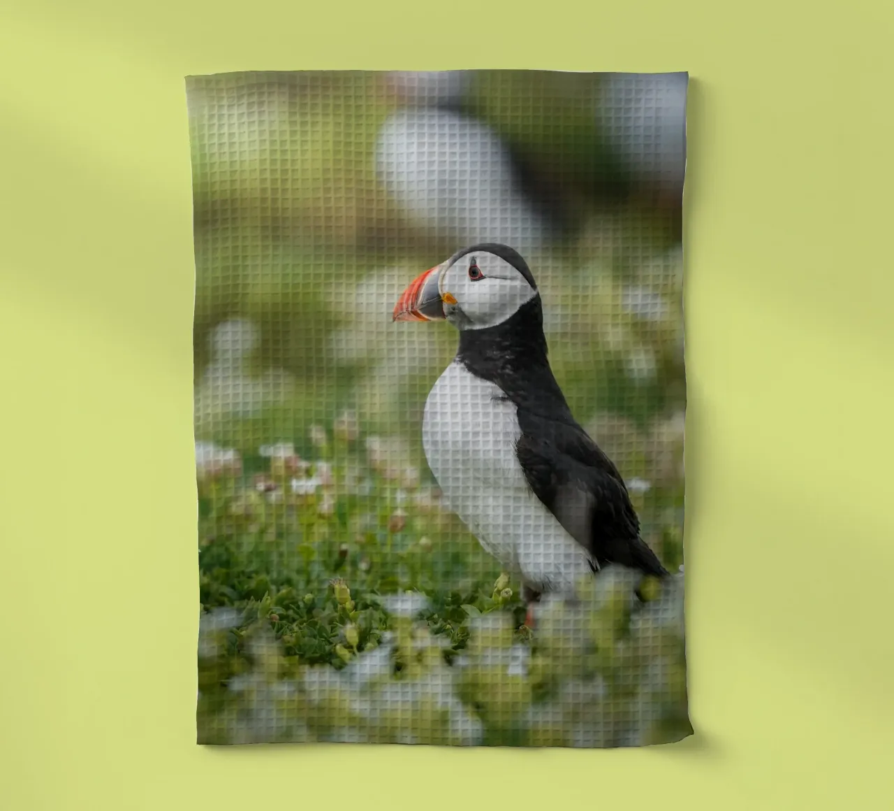 Puffin canovaccio da cucina da Tom's Wildlife
