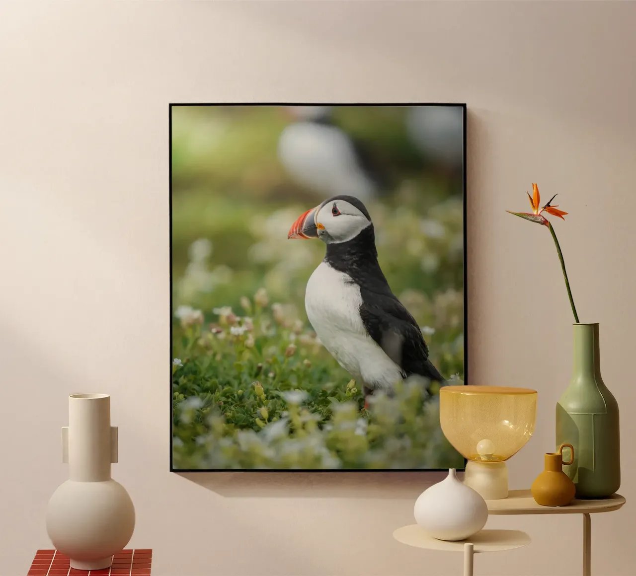 Puffin plexiglass da Tom's Wildlife