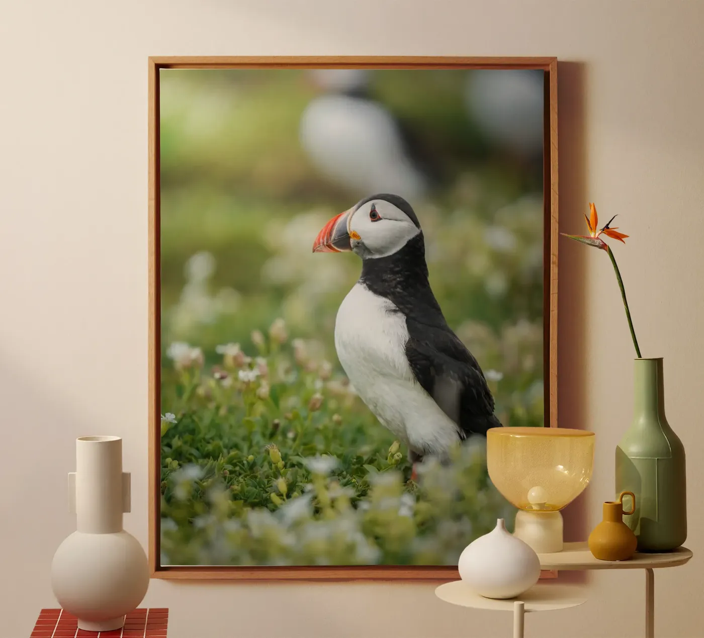 Puffin tela da Tom's Wildlife