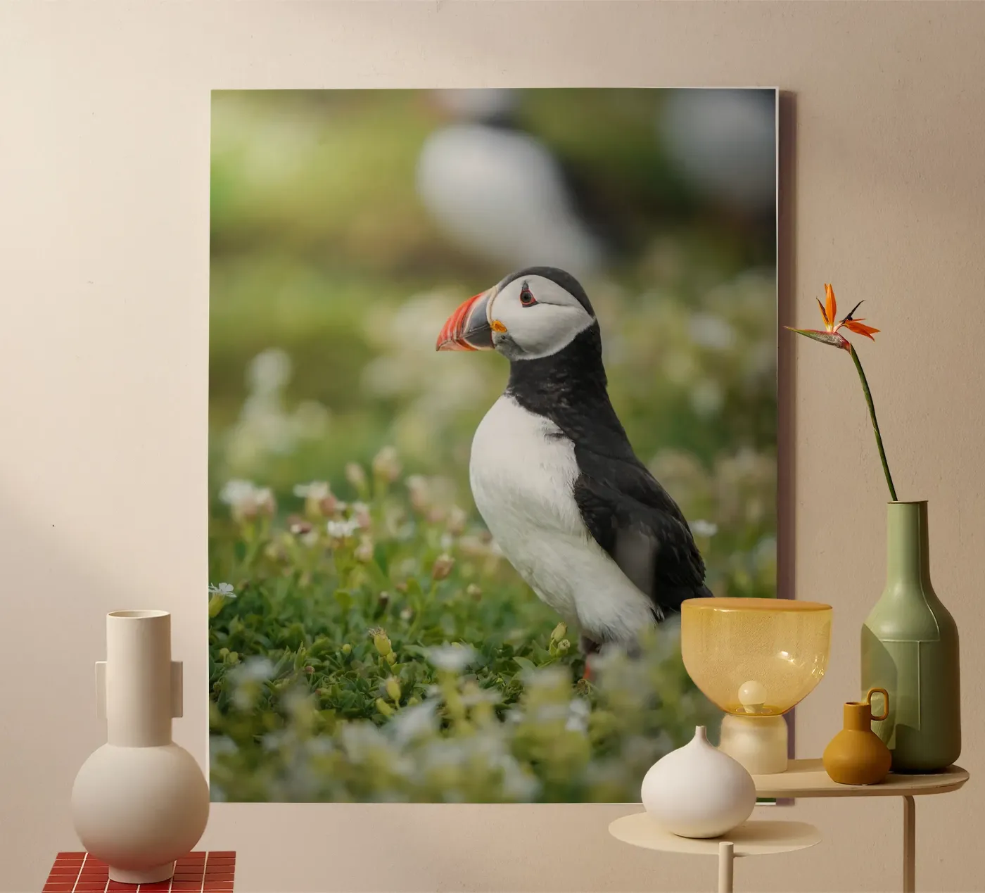 Puffin tela da Tom's Wildlife