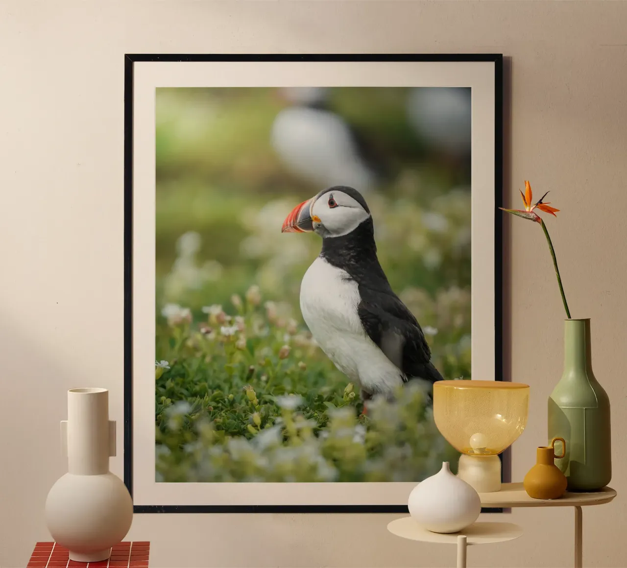 Puffin poster da Tom's Wildlife