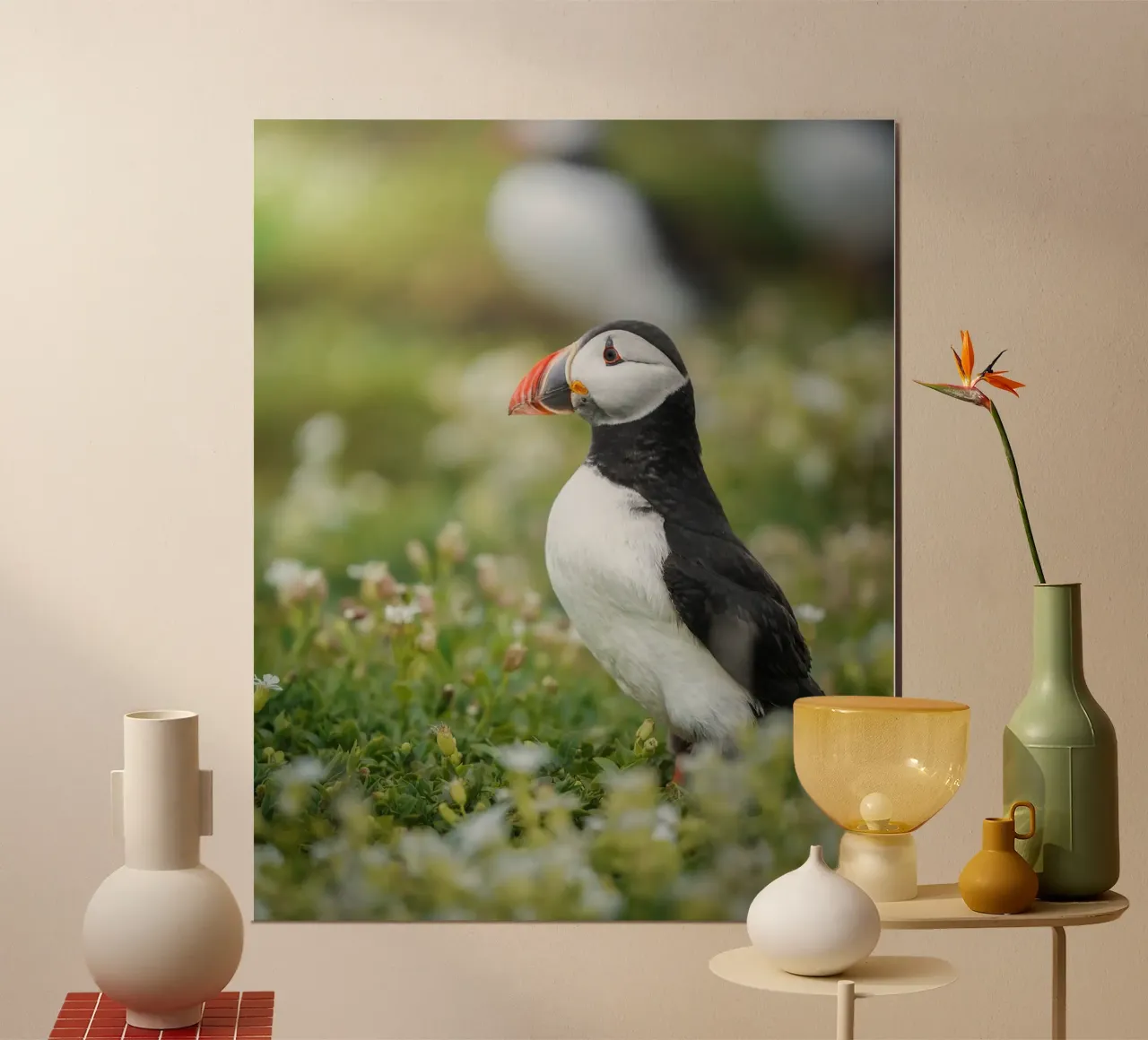 Puffin poster da Tom's Wildlife