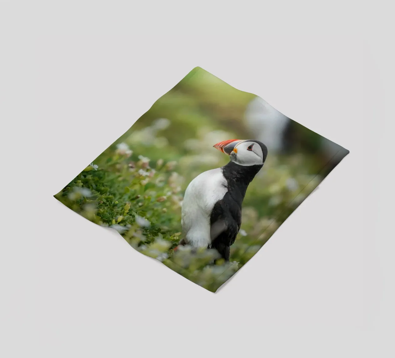 Puffin coperta in pile da Tom's Wildlife