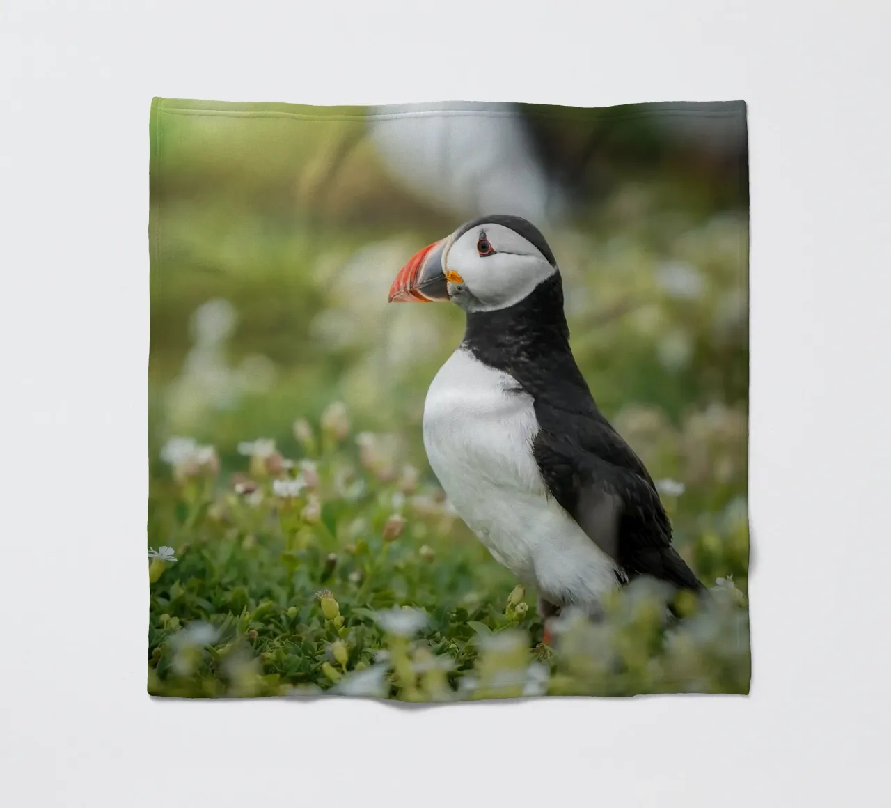 Puffin coperta in pile da Tom's Wildlife