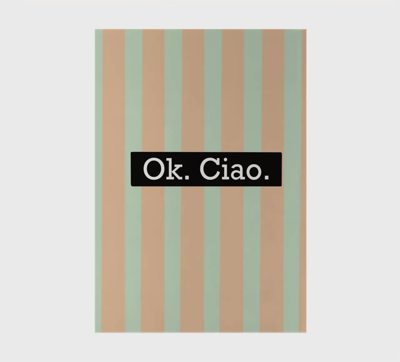 OK. Ciao. notebook by litt&lines