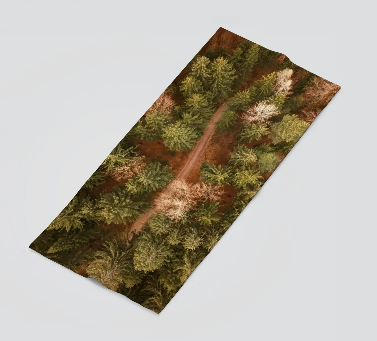 vista aerea foresta telo mare da Earthly Visions