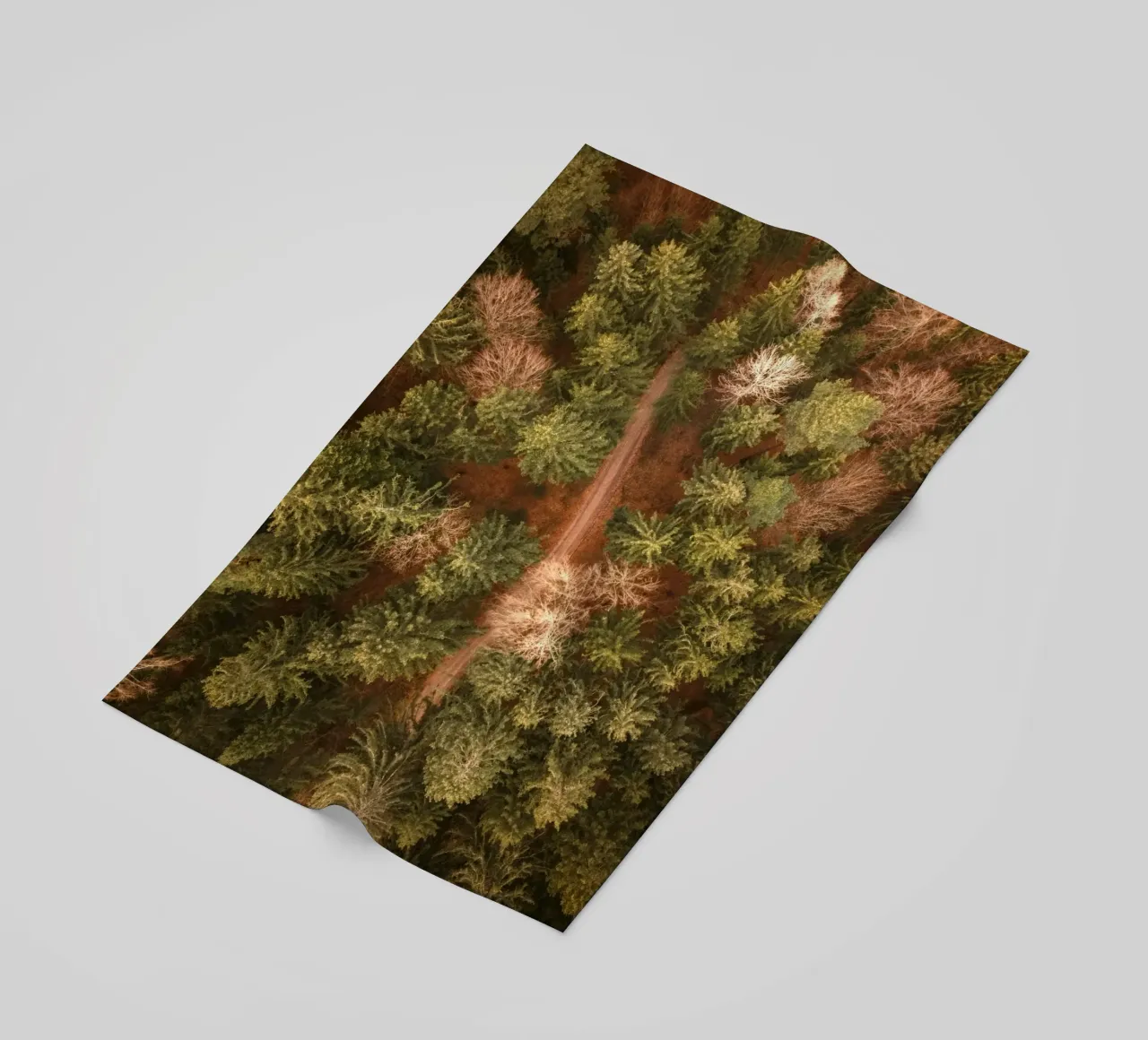 vista aerea foresta telo mare da Earthly Visions
