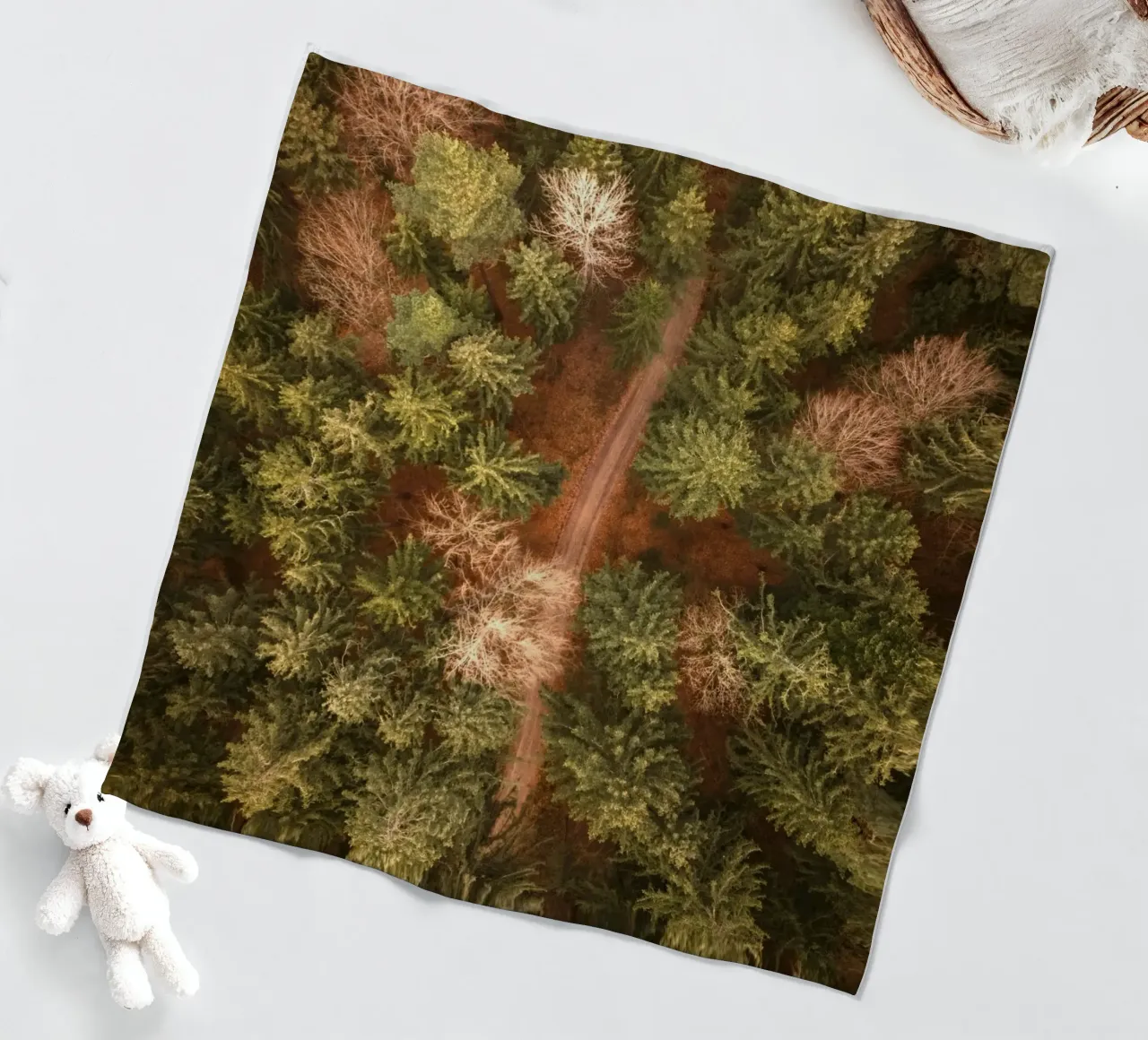 vista aerea foresta coperta in pile da Earthly Visions