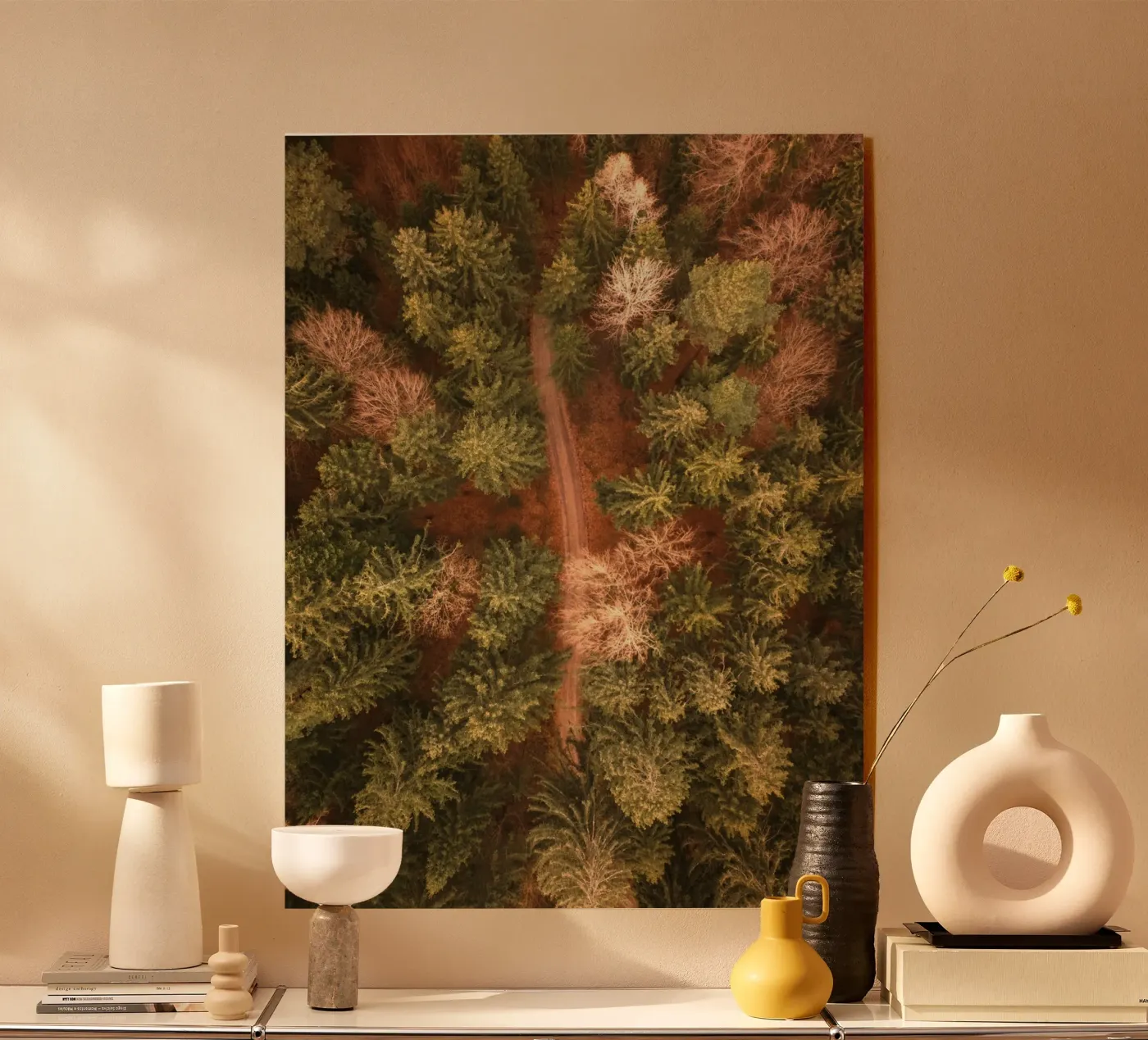 vista aerea foresta plexiglass da Earthly Visions