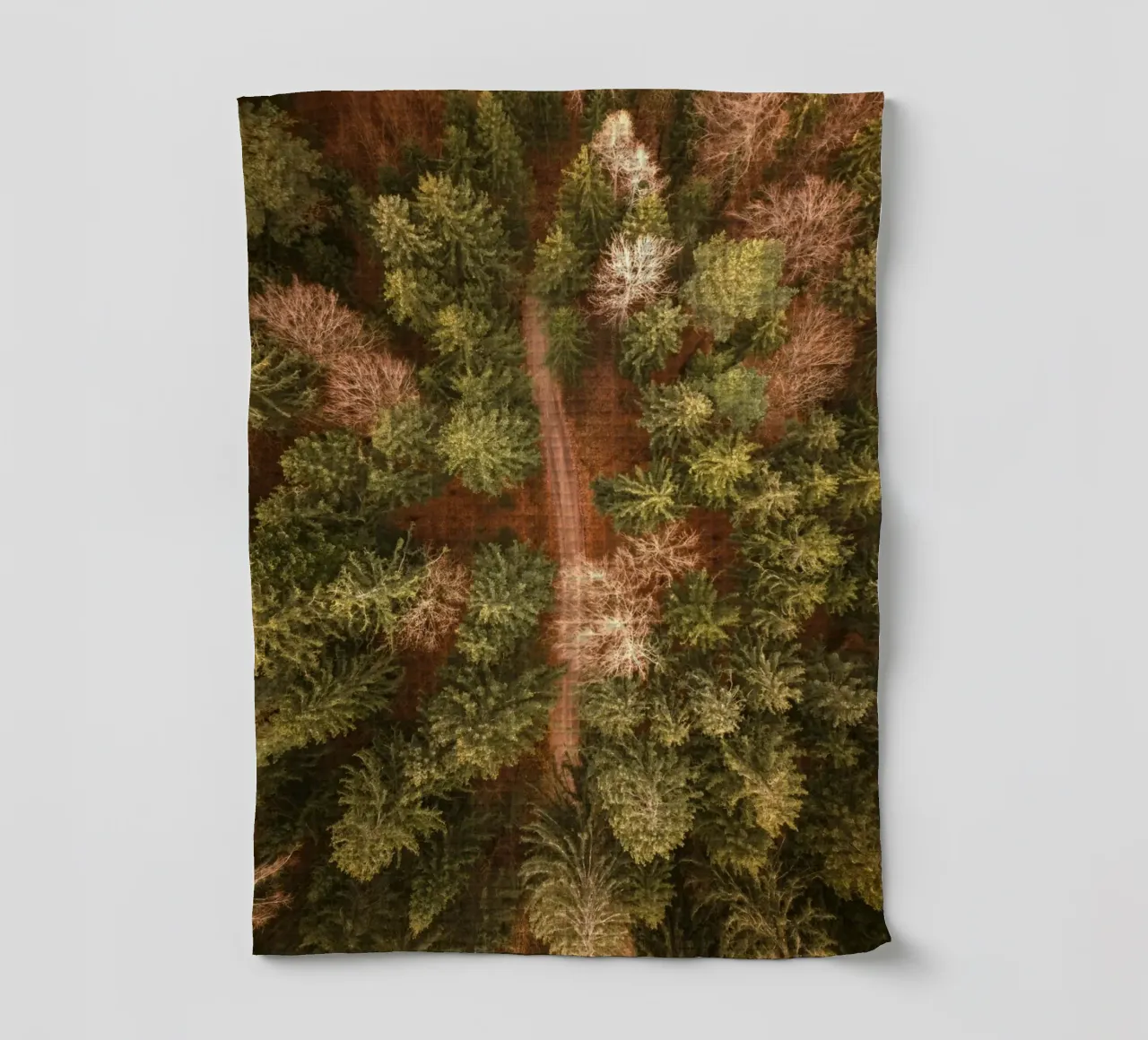 vue aérienne forêt torchon de Earthly Visions