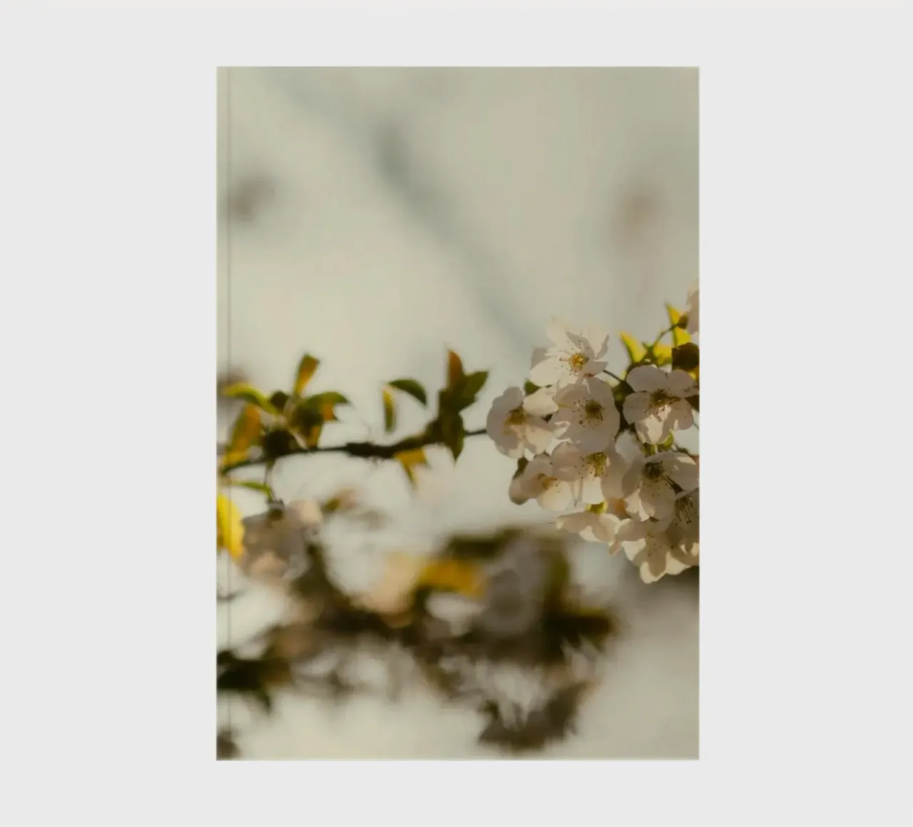 flowers blossoms notebook by Earthly Visions