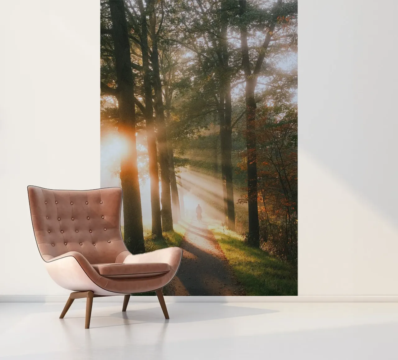 trees sunlight photo wallpaper by Earthly Visions