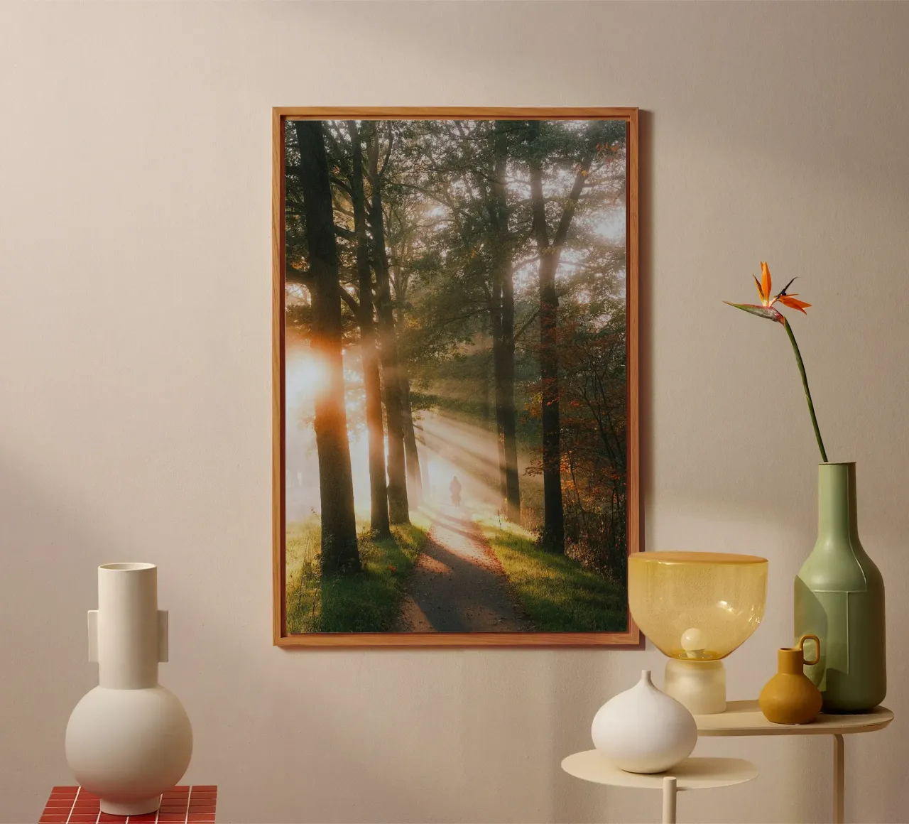alberi luce del sole alluminio dibond da Earthly Visions