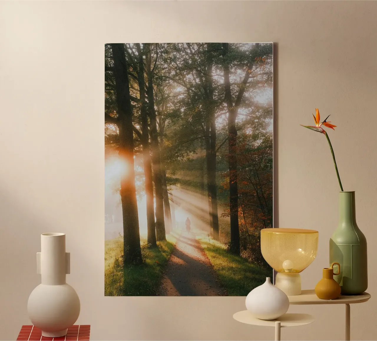 trees sunlight canvas by Earthly Visions