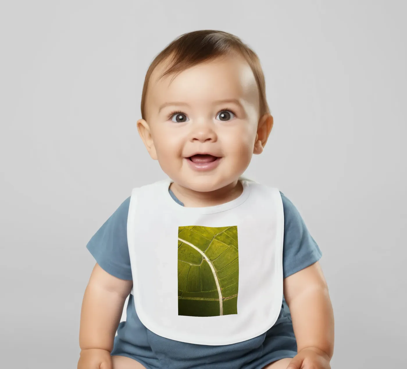 vista aerea risaia bavaglino da Earthly Visions