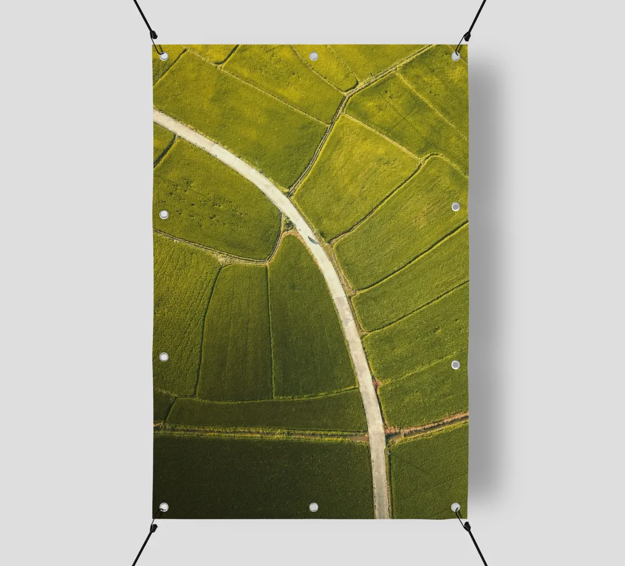 vista aerea risaia telo in pvc da Earthly Visions