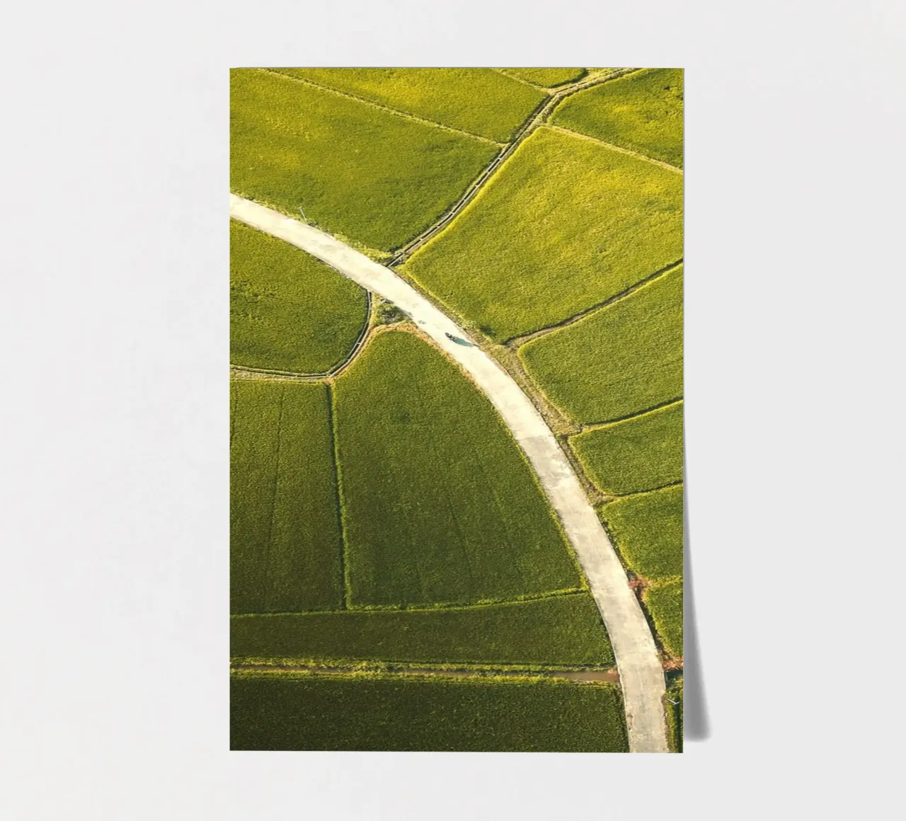 vue aérienne d'une rizière planche autocollant de Earthly Visions
