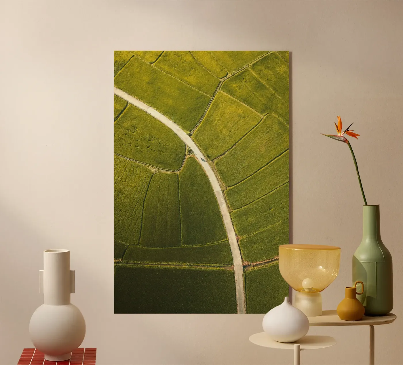 luchtfoto rijstveld acryl van Earthly Visions