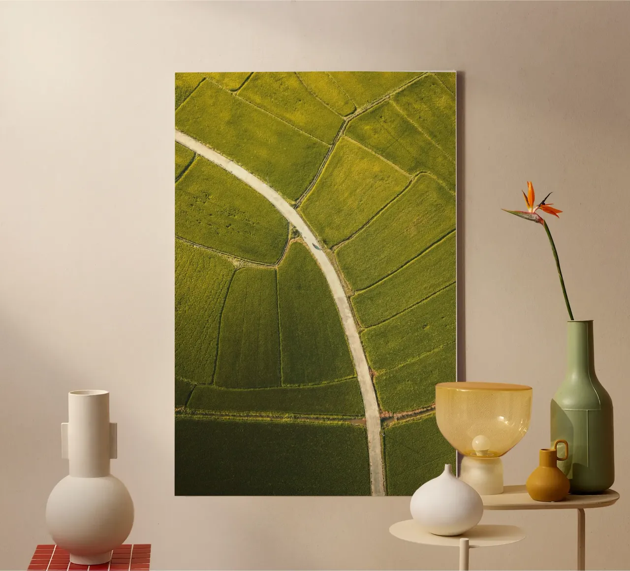 aerial view rice paddy canvas by Earthly Visions