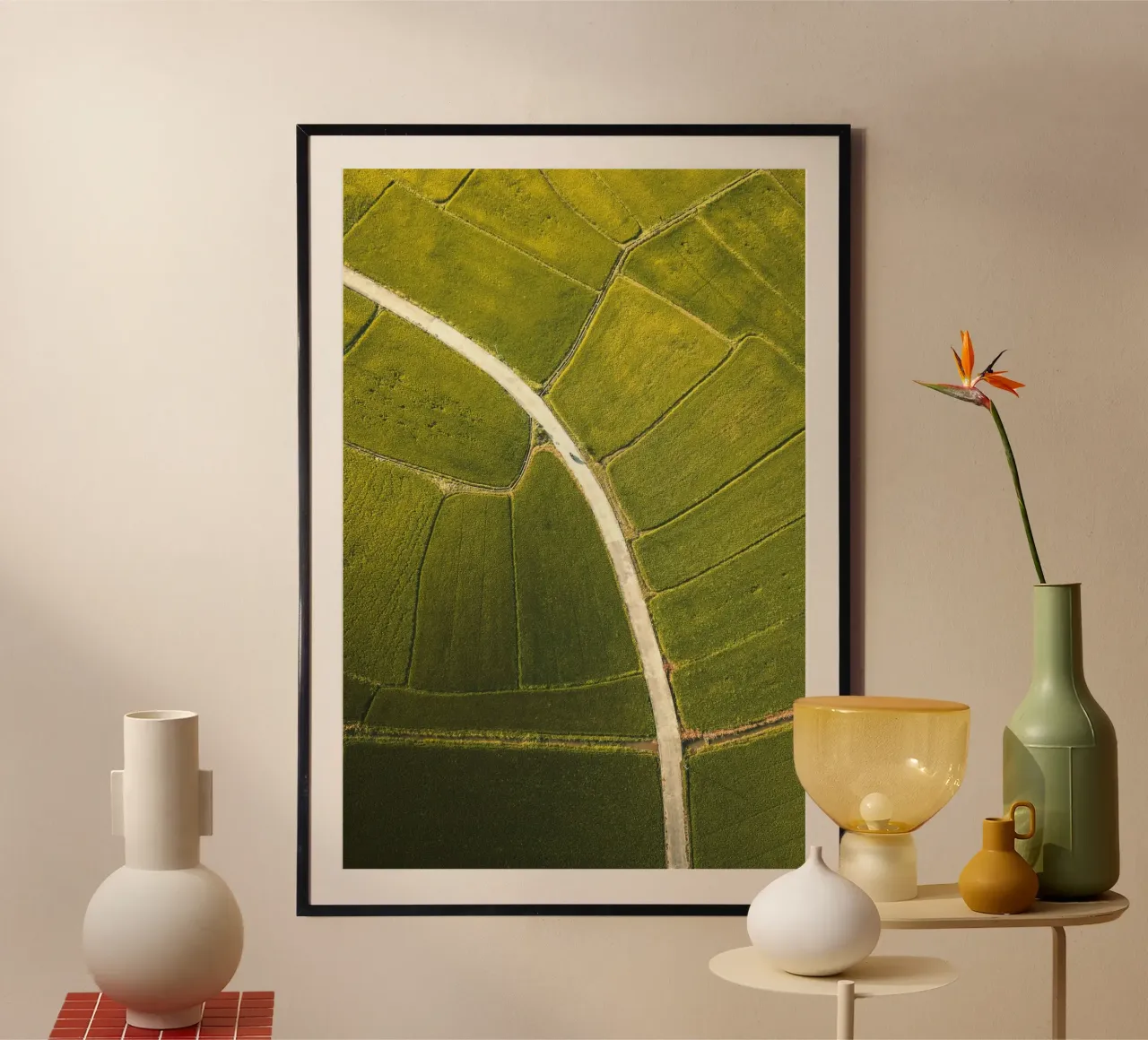 vista aerea risaia poster da Earthly Visions