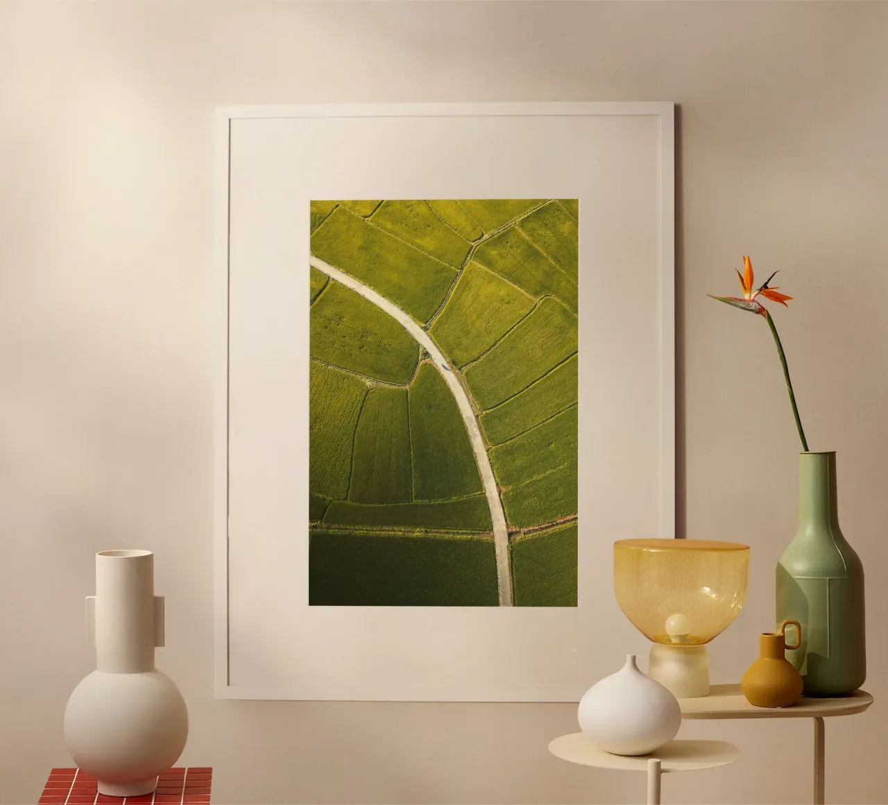 vista aerea risaia poster da Earthly Visions