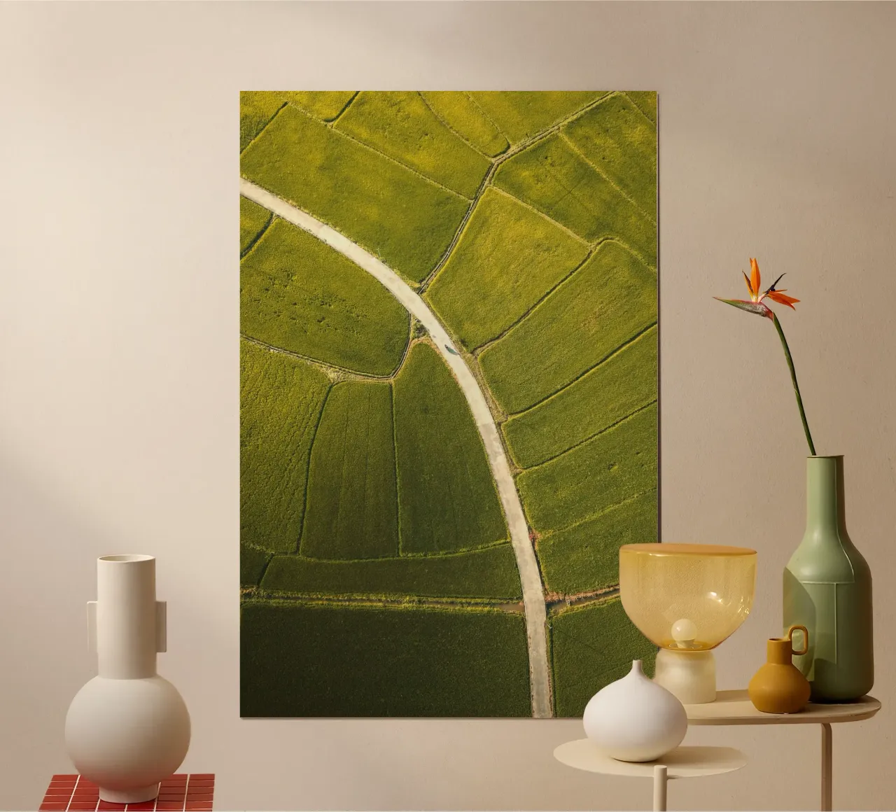 vista aerea risaia poster da Earthly Visions