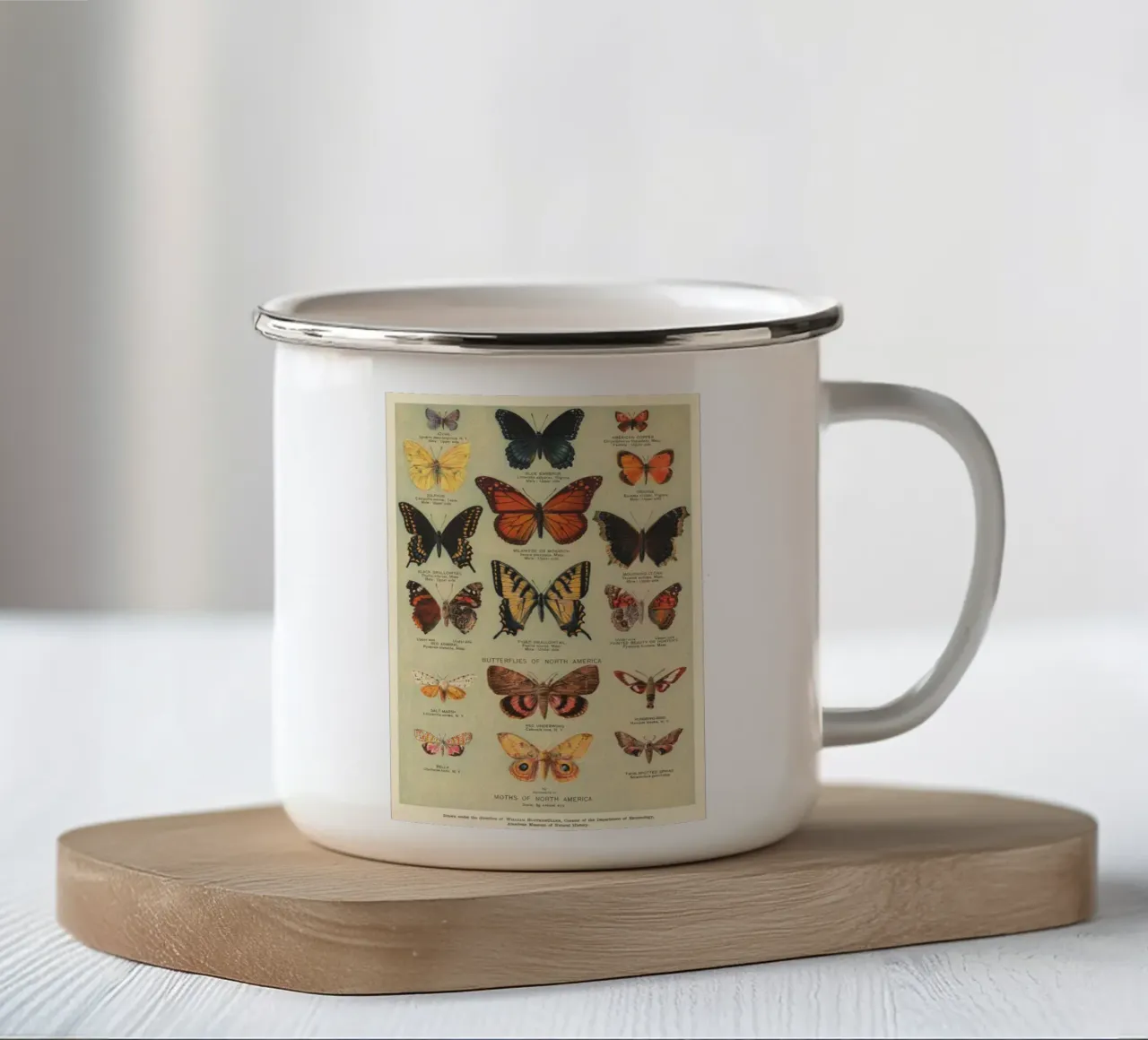 farfalle falene imperatore blu tazza in smalto da Adam Murray
