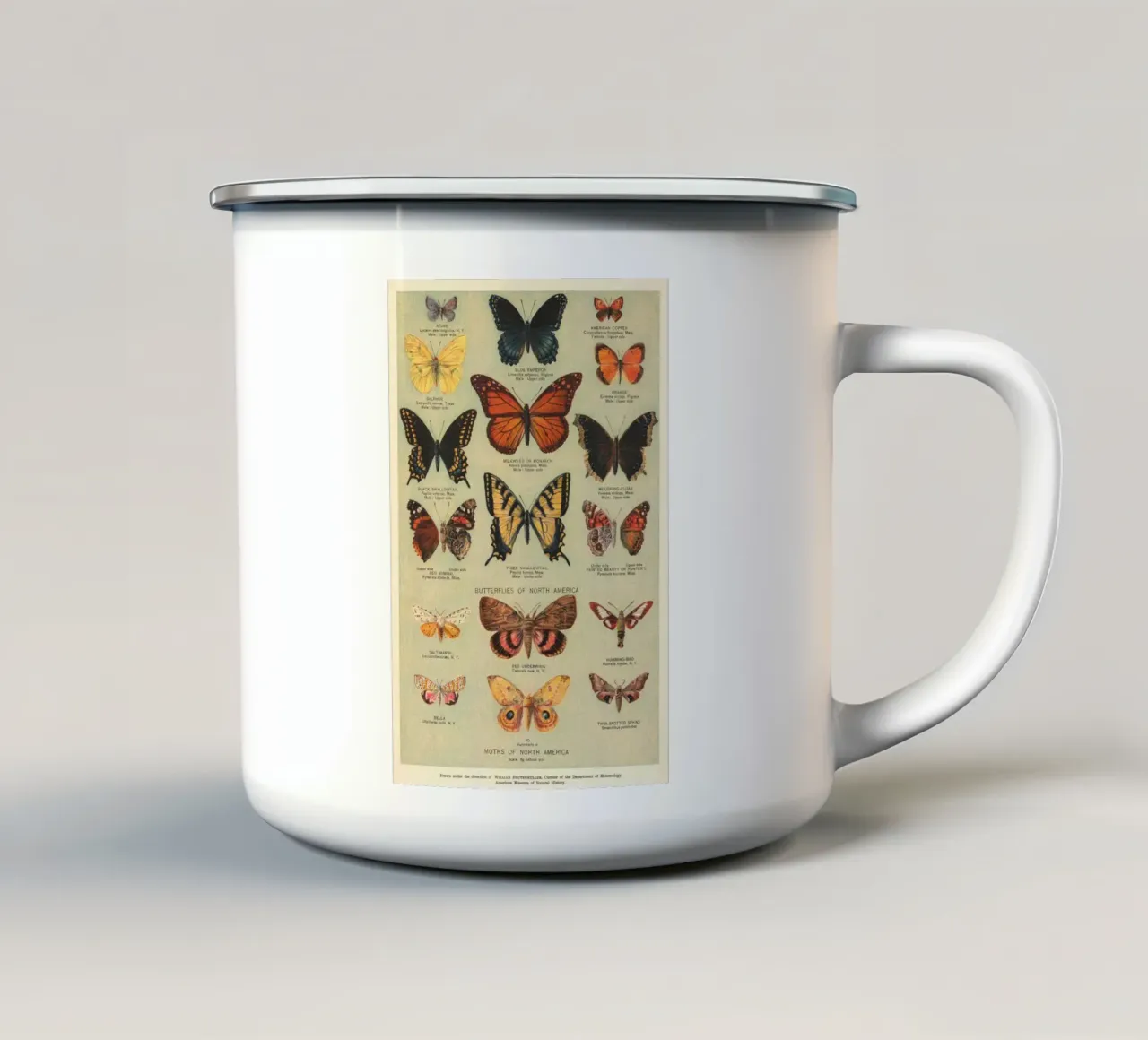 farfalle falene imperatore blu tazza in smalto da Adam Murray