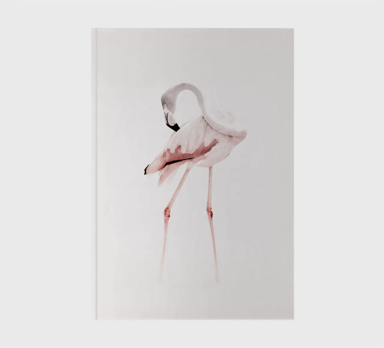 The Flamingo -  Grace in Silence diario da JaySan Studio