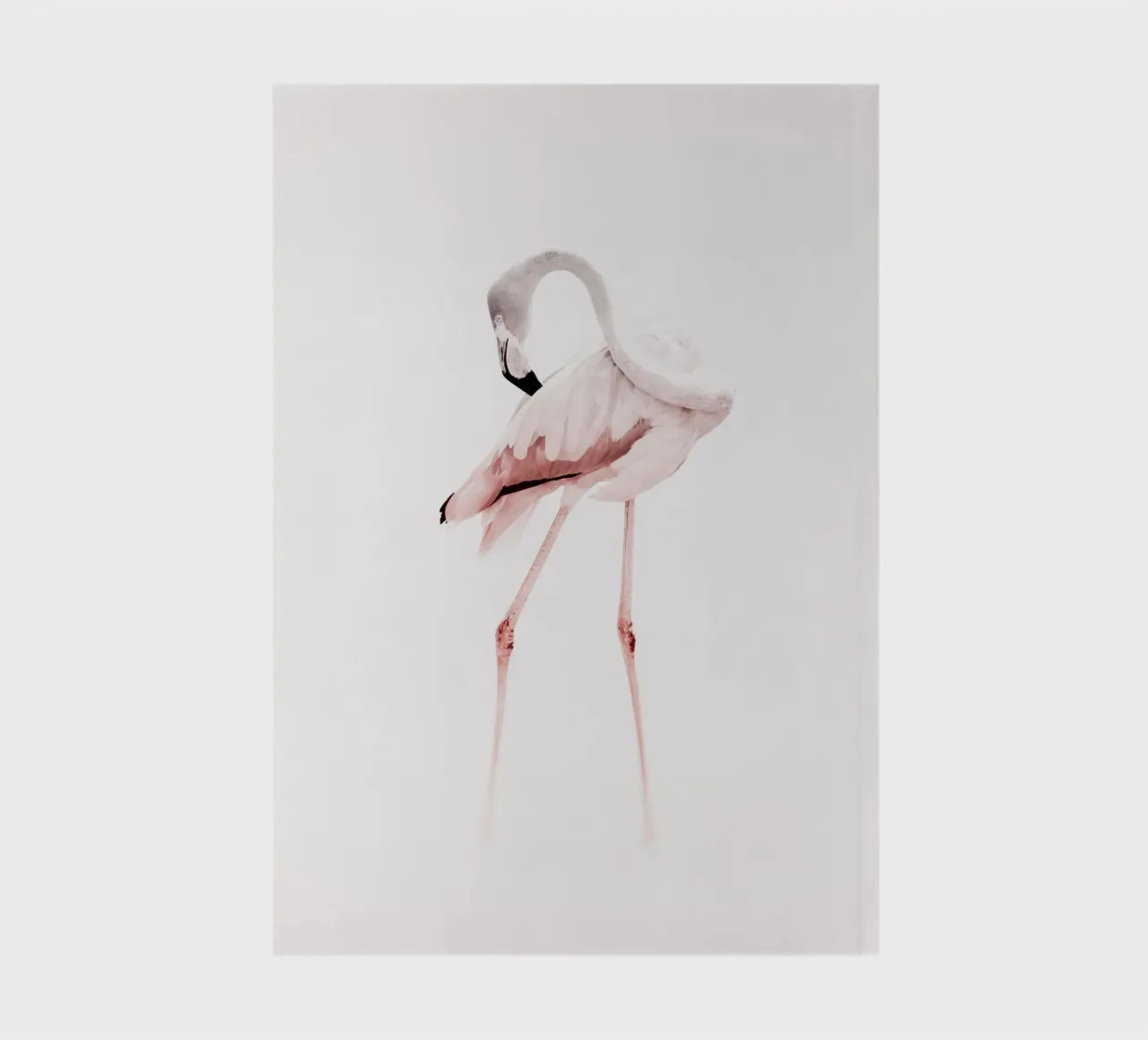 The Flamingo -  Grace in Silence diario da JaySan Studio