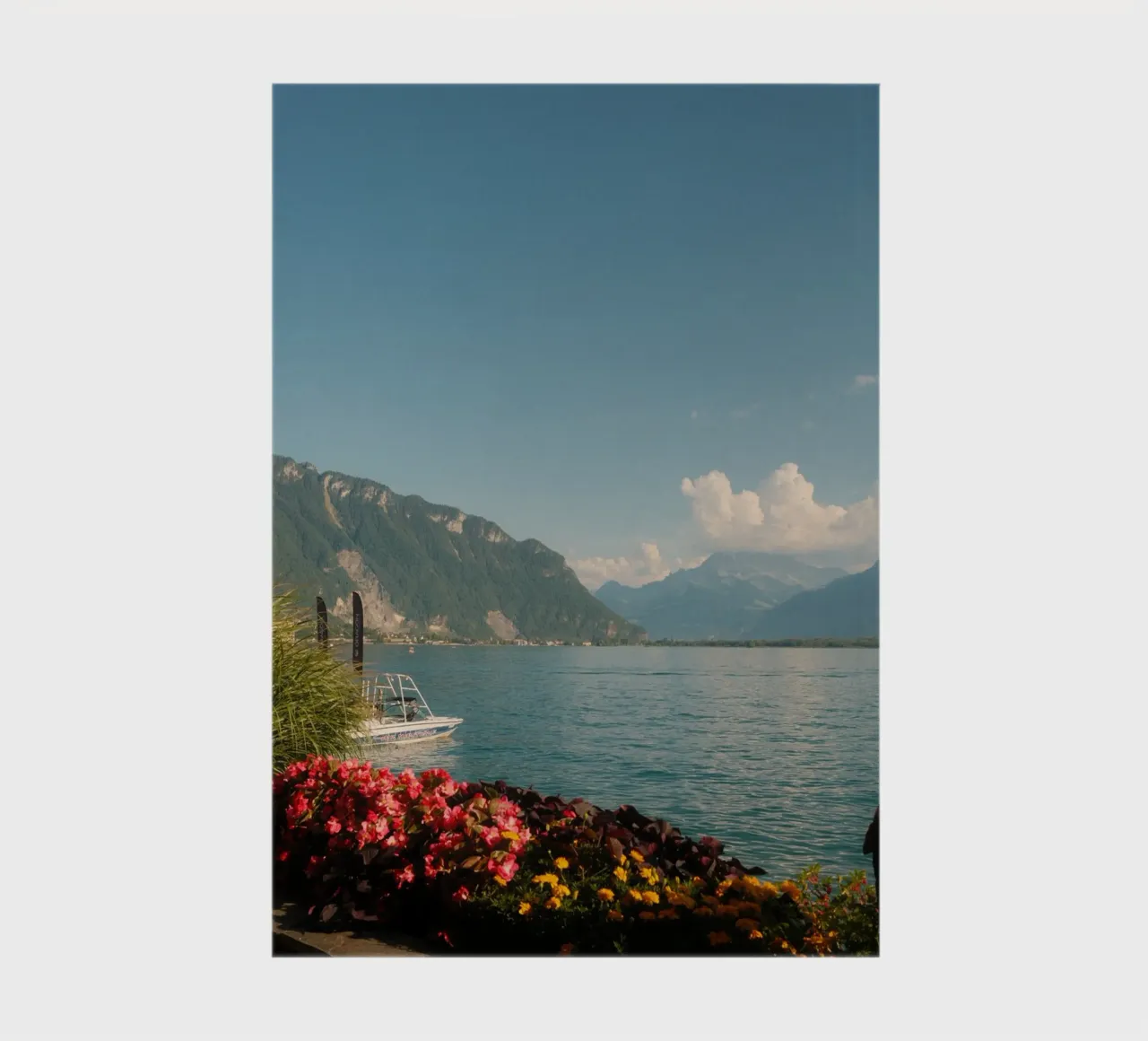 Montreux Bloom notebook by FujiSwiss