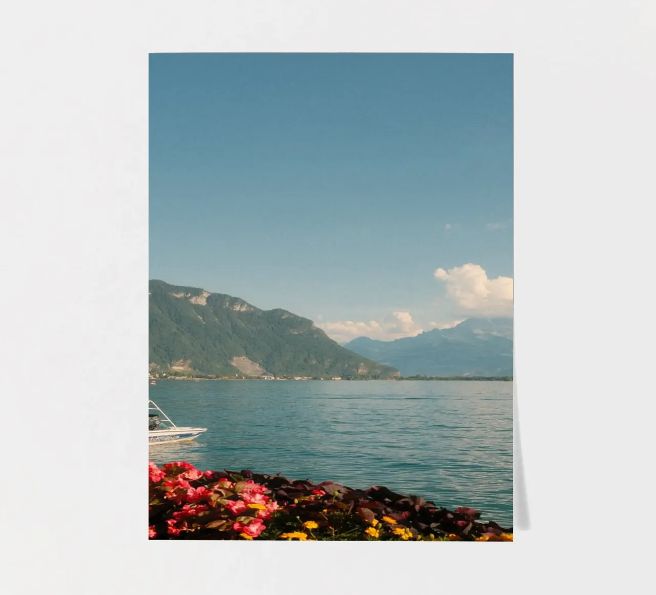 Montreux Bloom stickervel van FujiSwiss