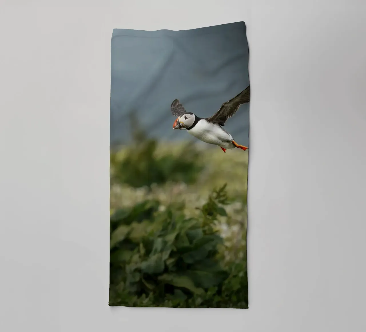 Pulcinella di mare in volo asciugamano da bagno da Tom's Wildlife