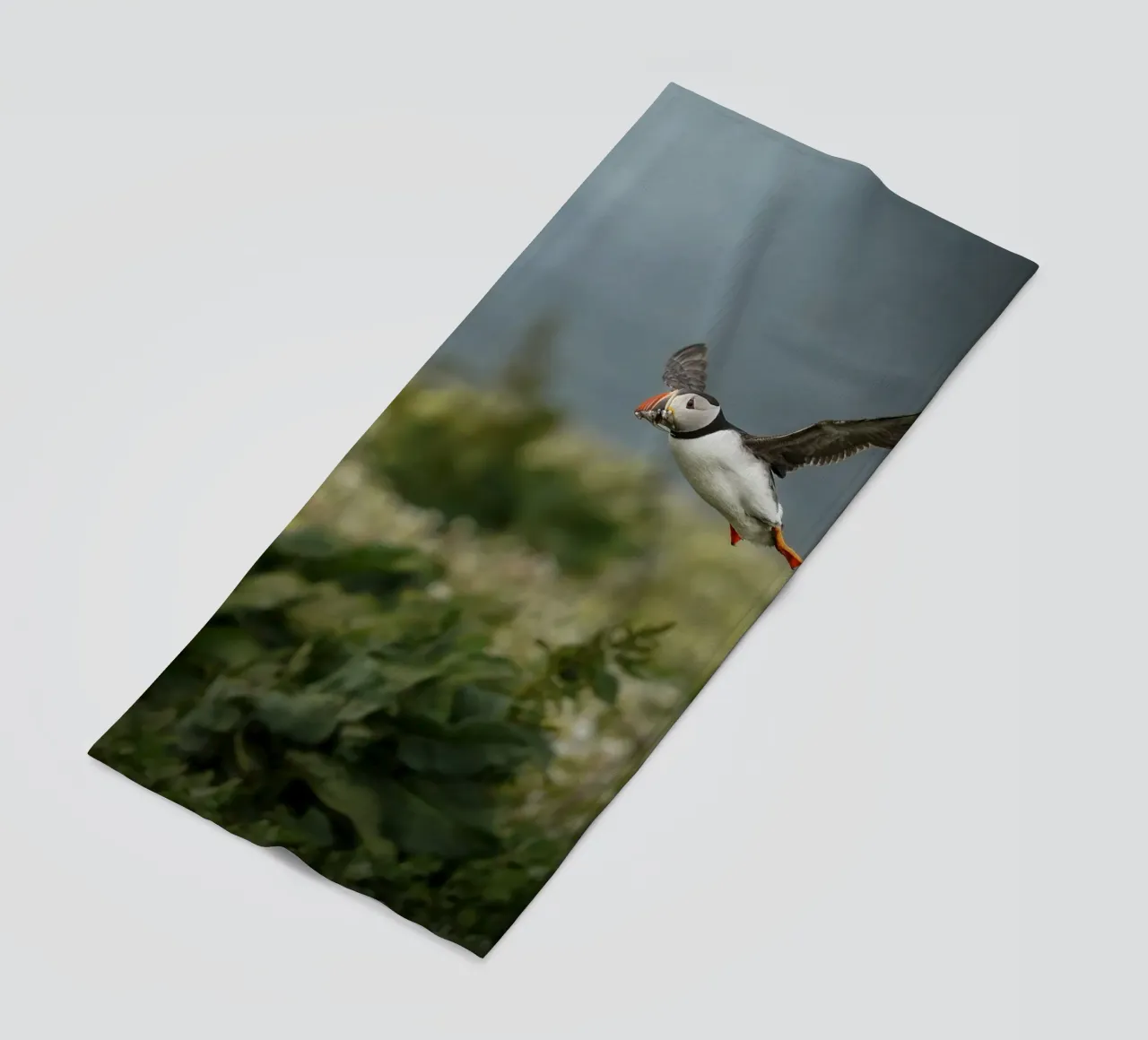 Pulcinella di mare in volo telo mare da Tom's Wildlife