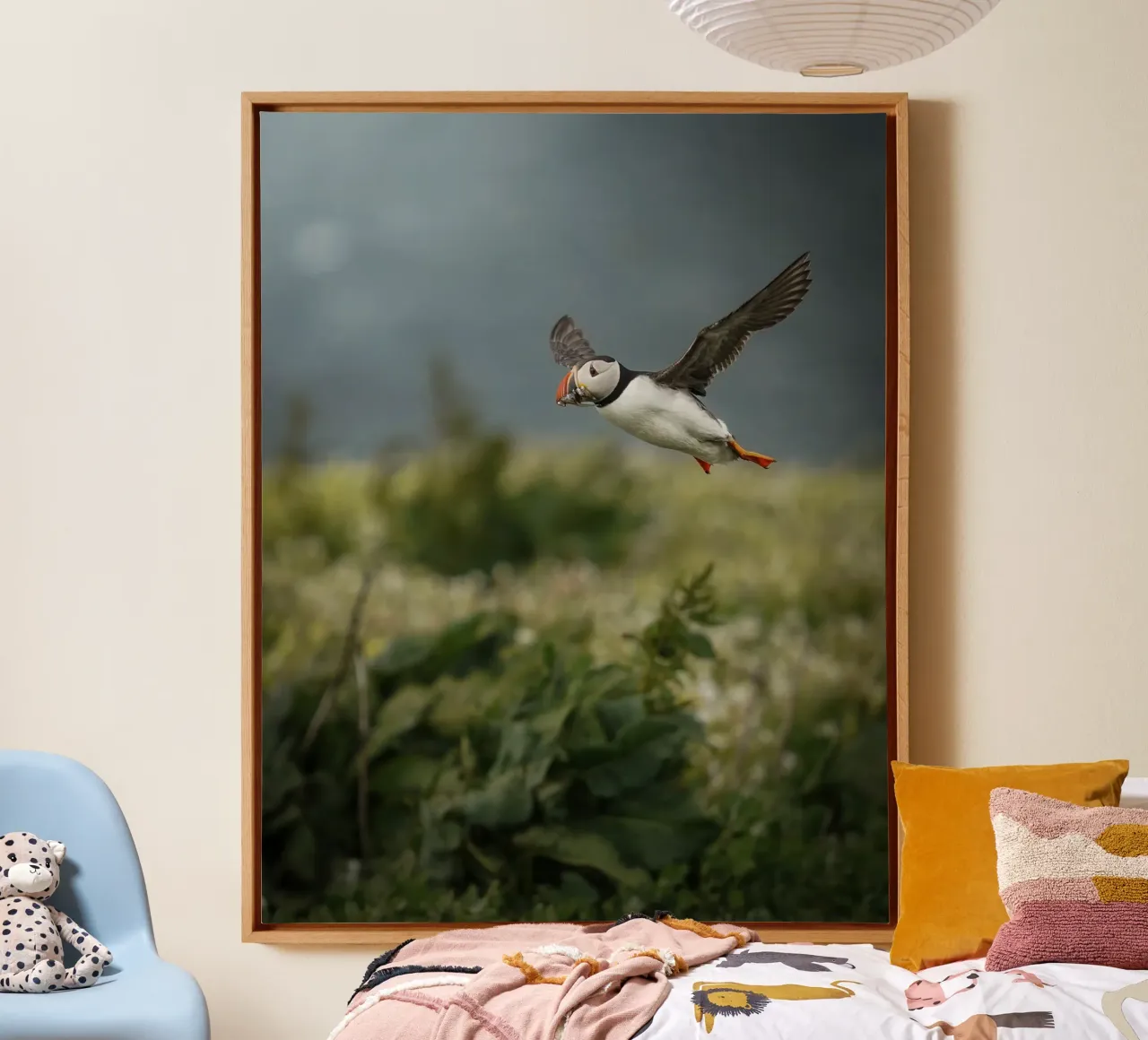 Puffin in flight canvas with Floater frame by Tom's Wildlife