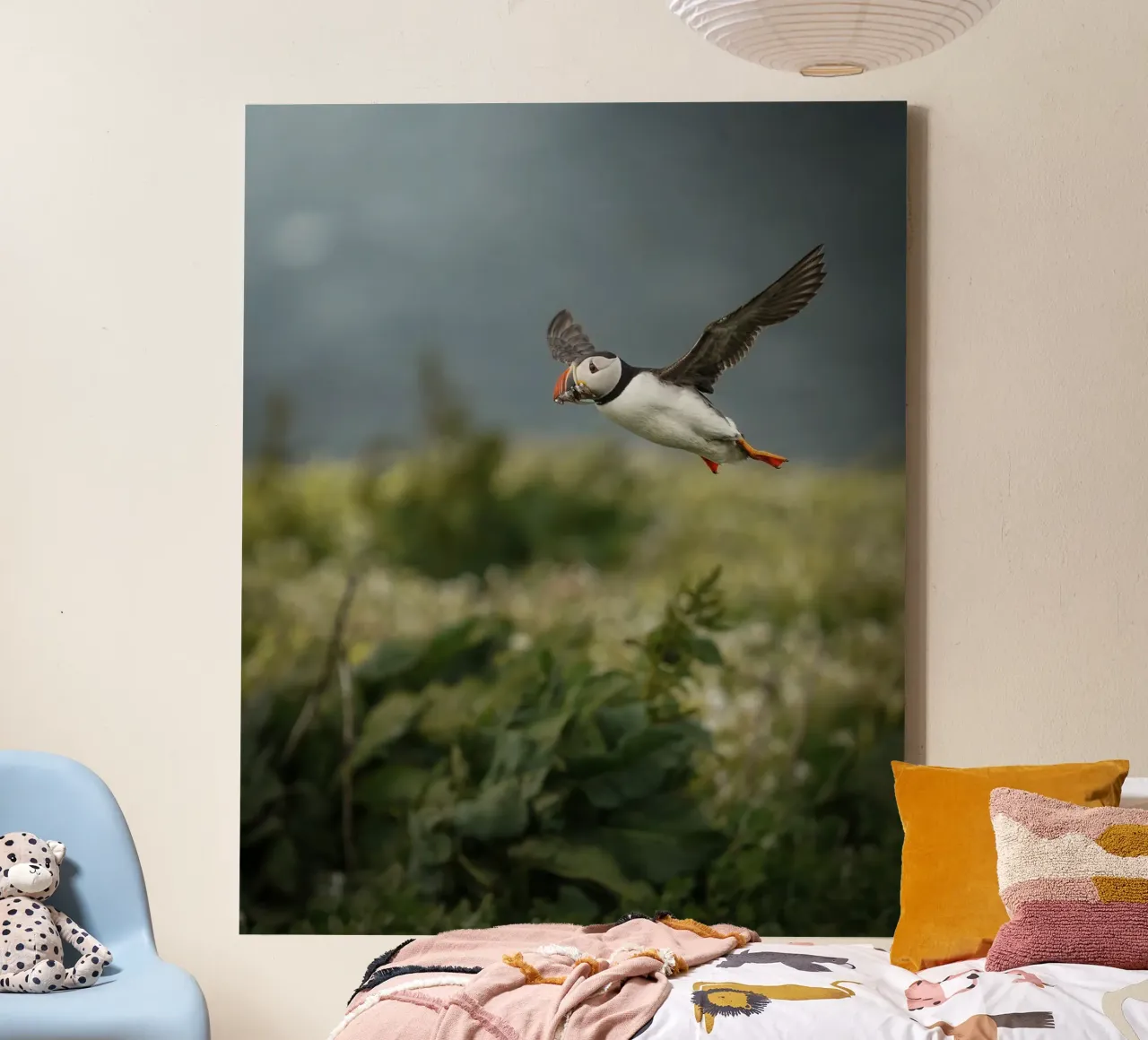 Puffin in flight canvas with Floater frame by Tom's Wildlife