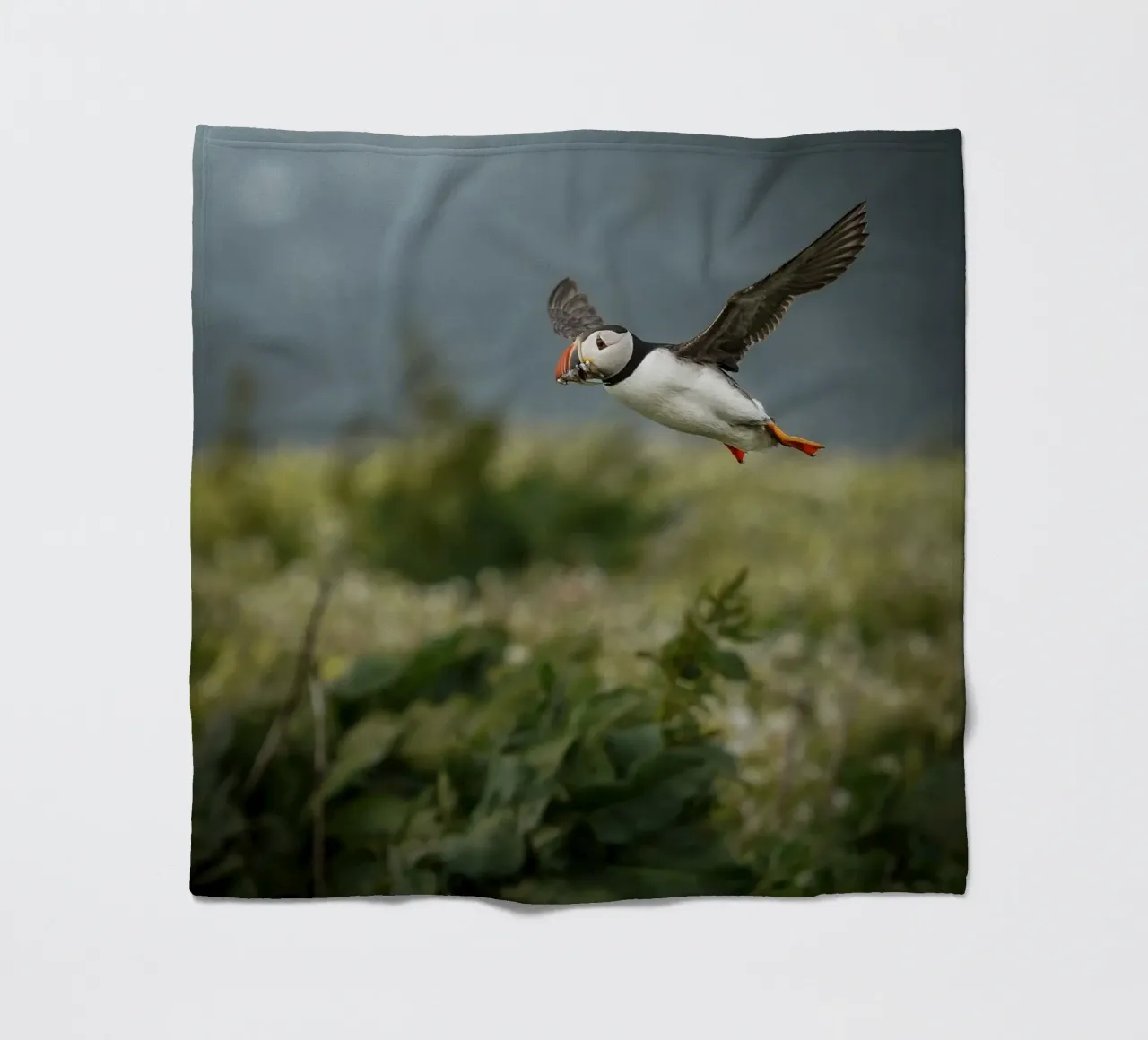 Pulcinella di mare in volo coperta in pile da Tom's Wildlife