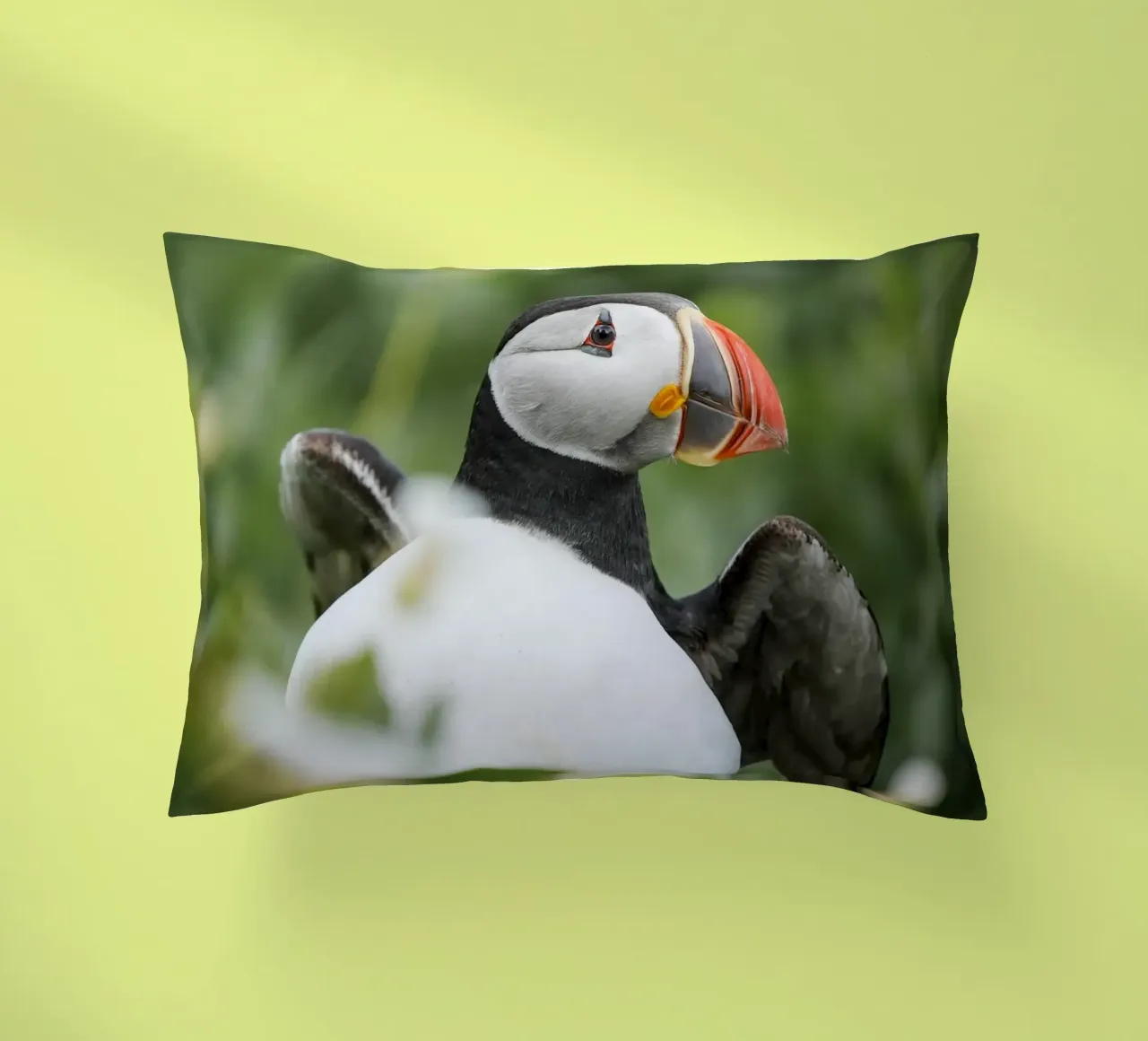 Puffin cuscino da Tom's Wildlife