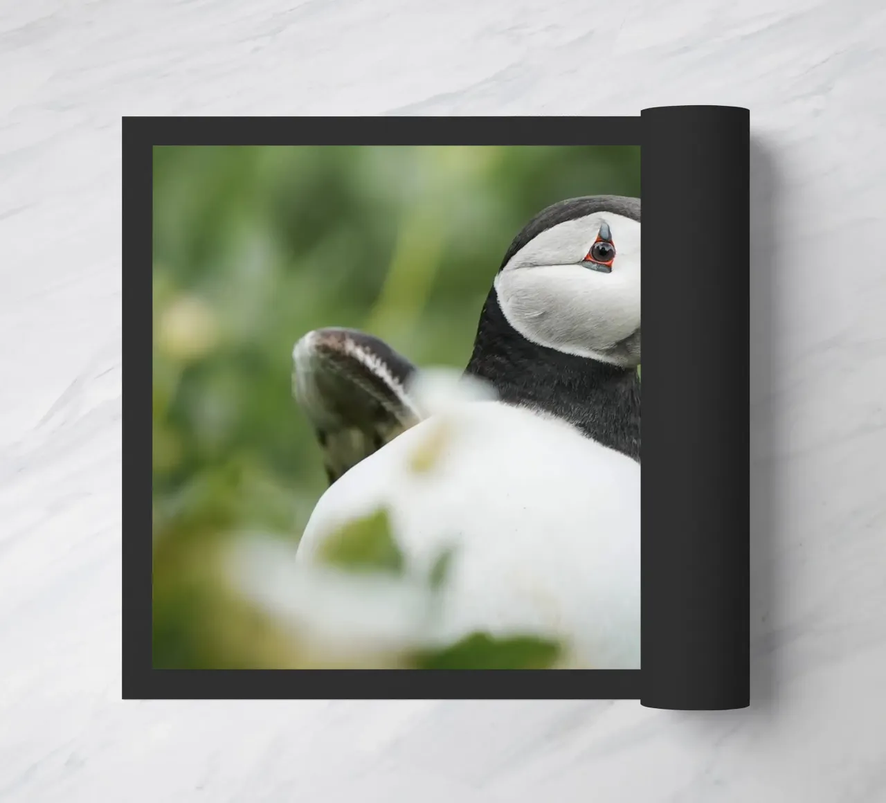 Puffin doormat by Tom's Wildlife