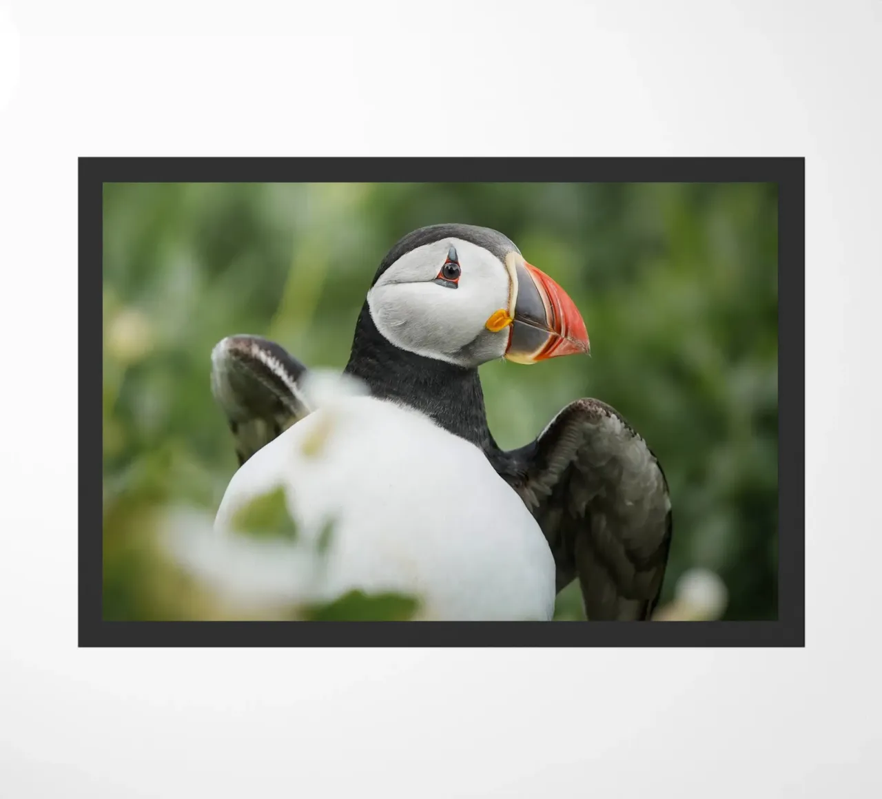 Puffin doormat by Tom's Wildlife