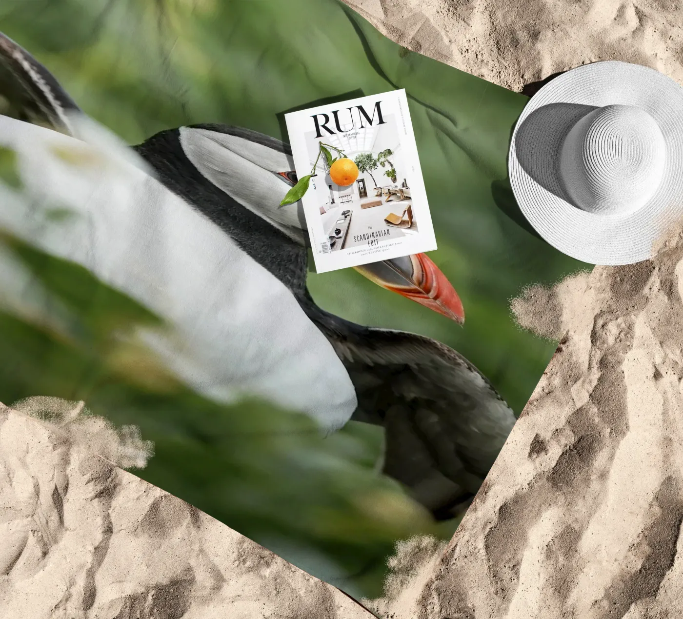 Puffin telo mare da Tom's Wildlife