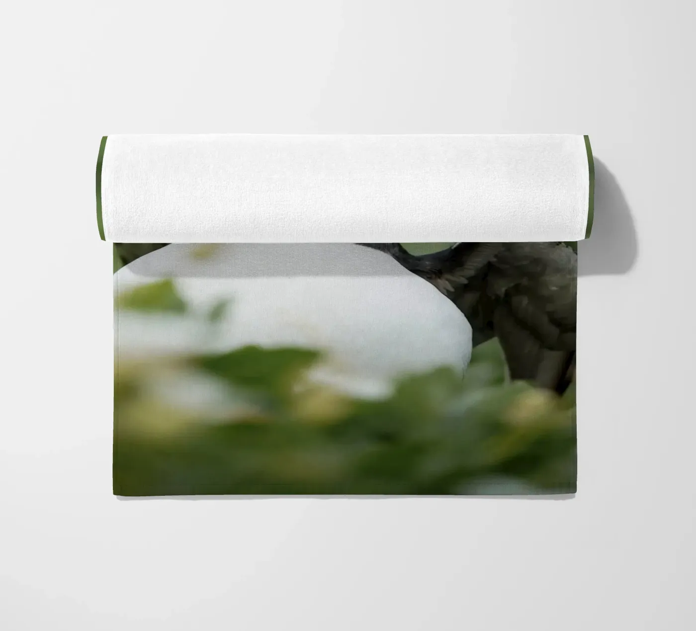 Puffin telo mare da Tom's Wildlife