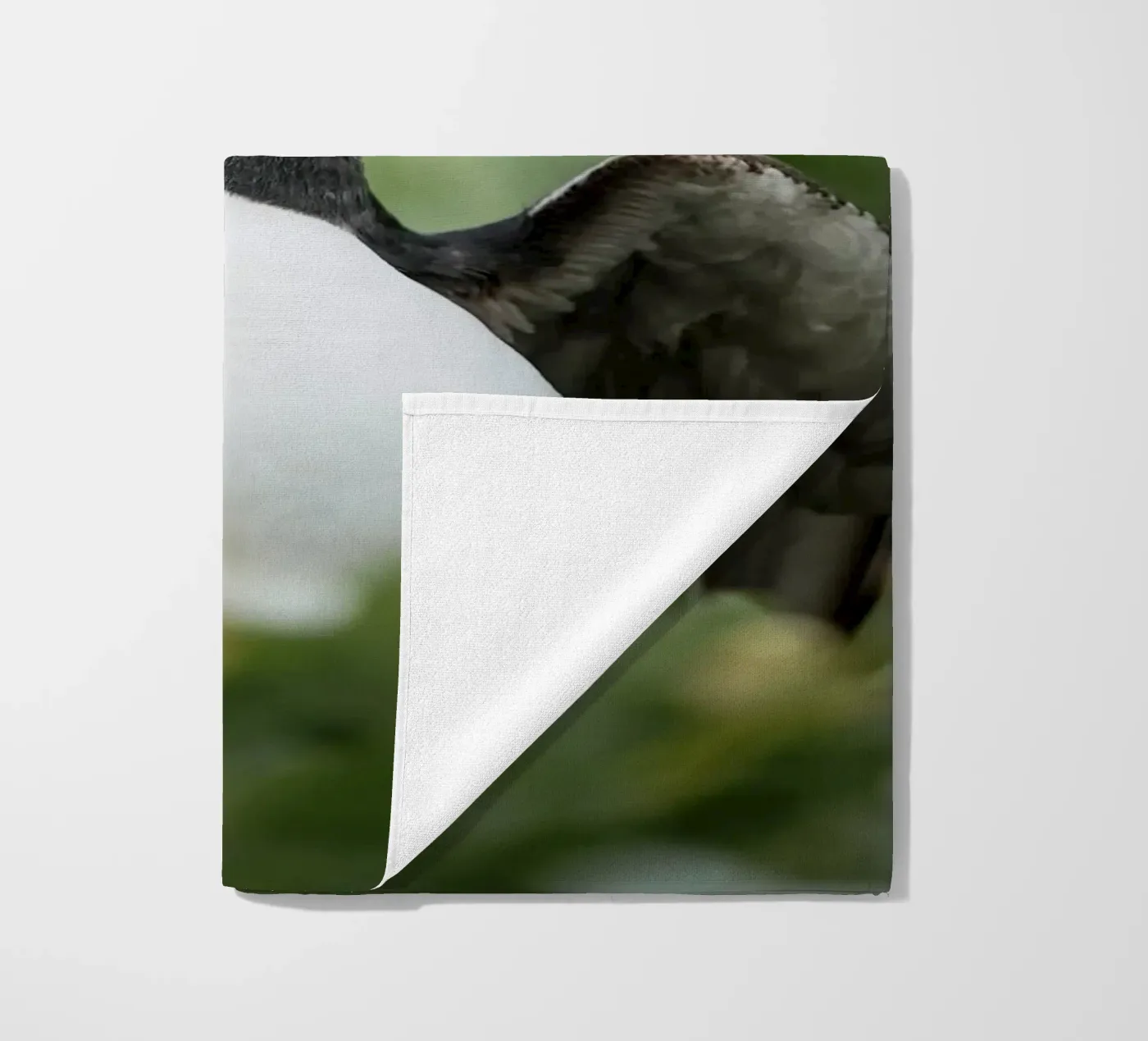 Puffin telo mare da Tom's Wildlife