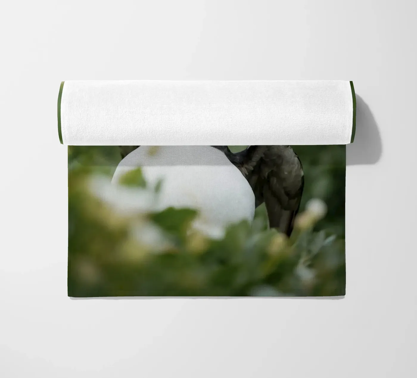 Puffin telo mare da Tom's Wildlife