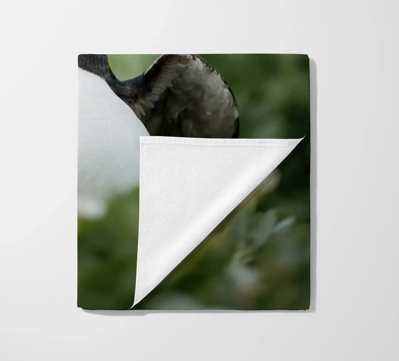 Puffin telo mare da Tom's Wildlife